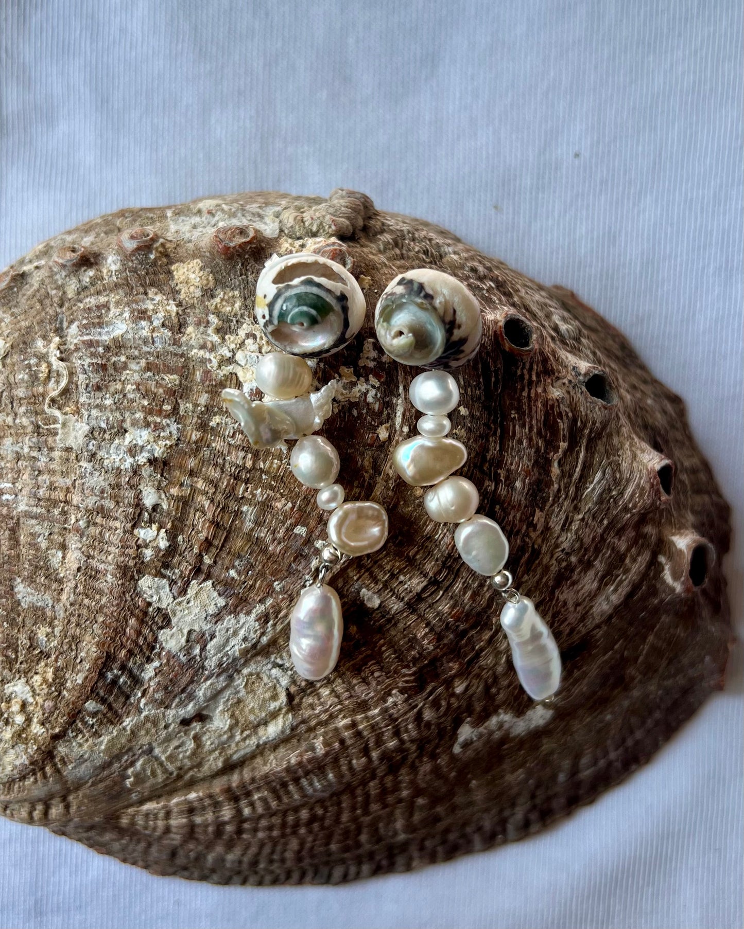 SHELL EARRINGS