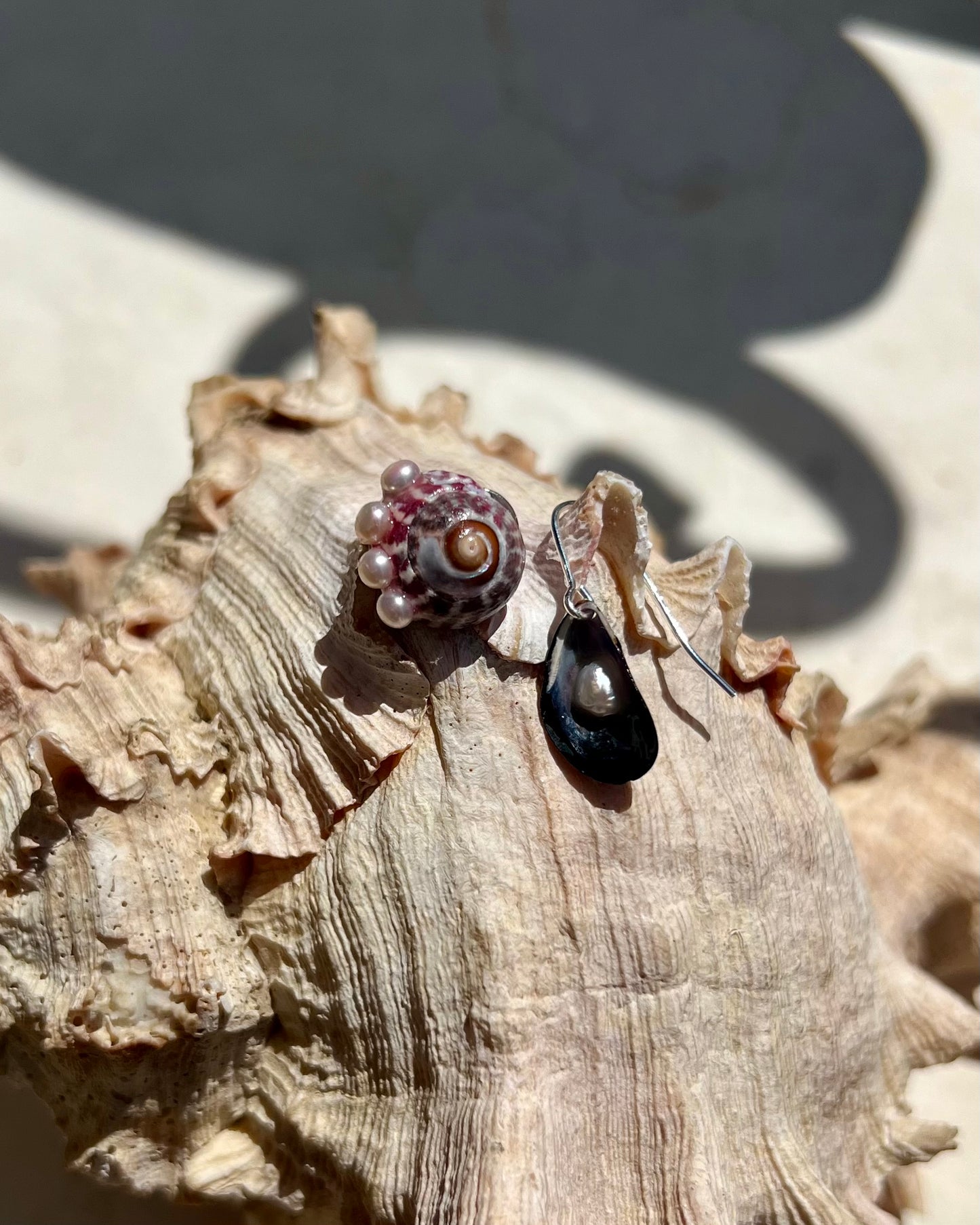SHELL EARRINGS