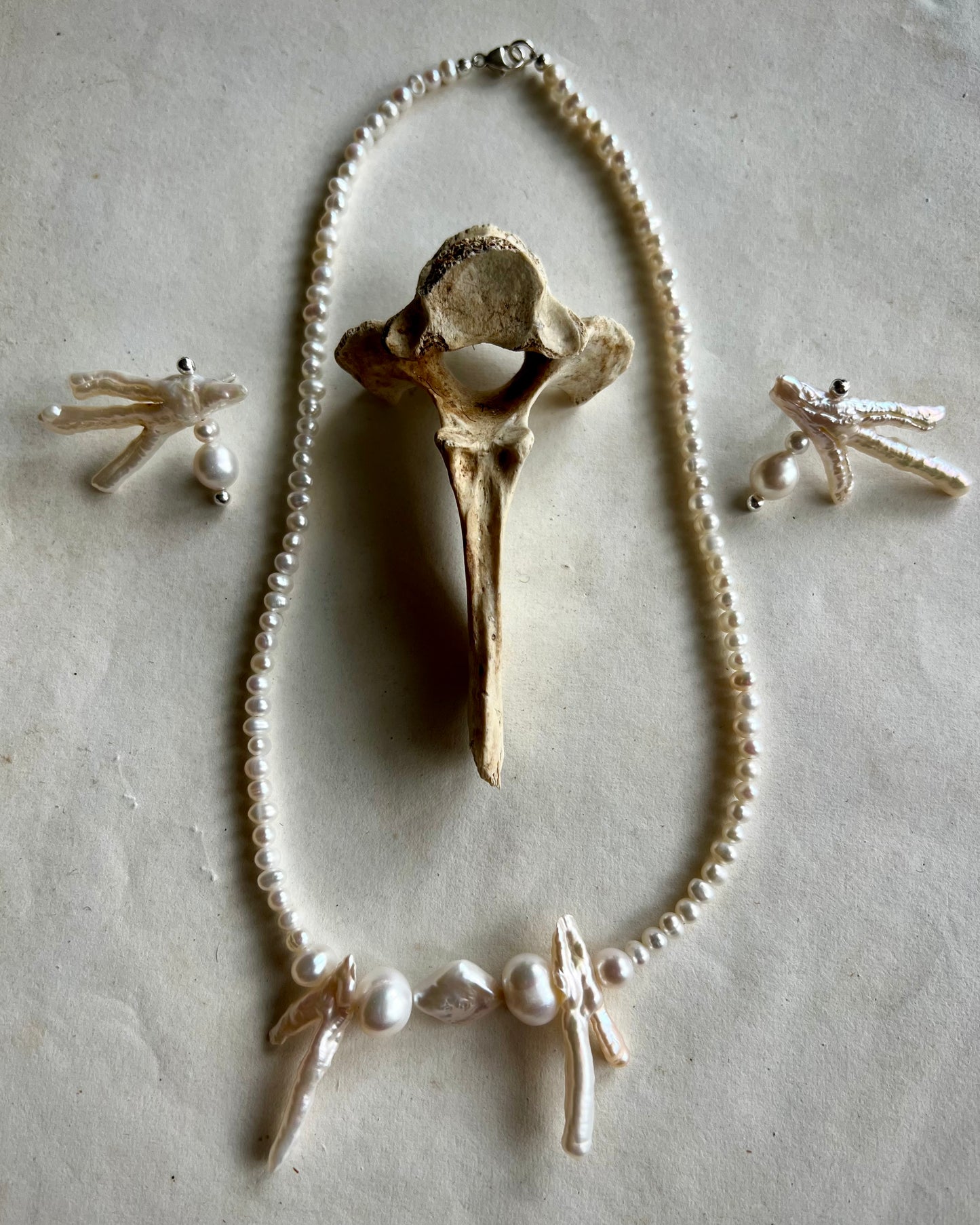 FOSSILISED EARRINGS