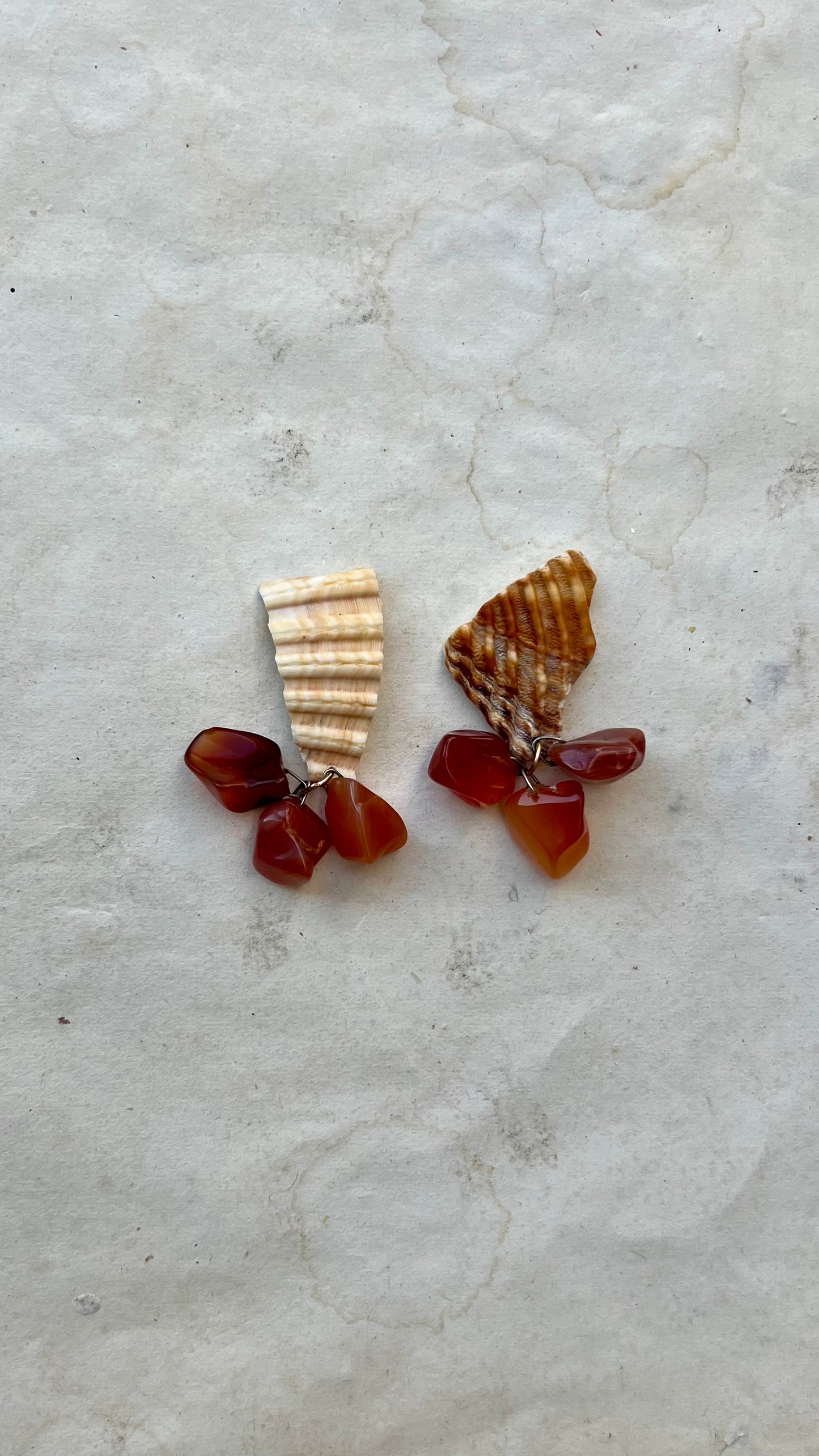 SHELL EARRINGS
