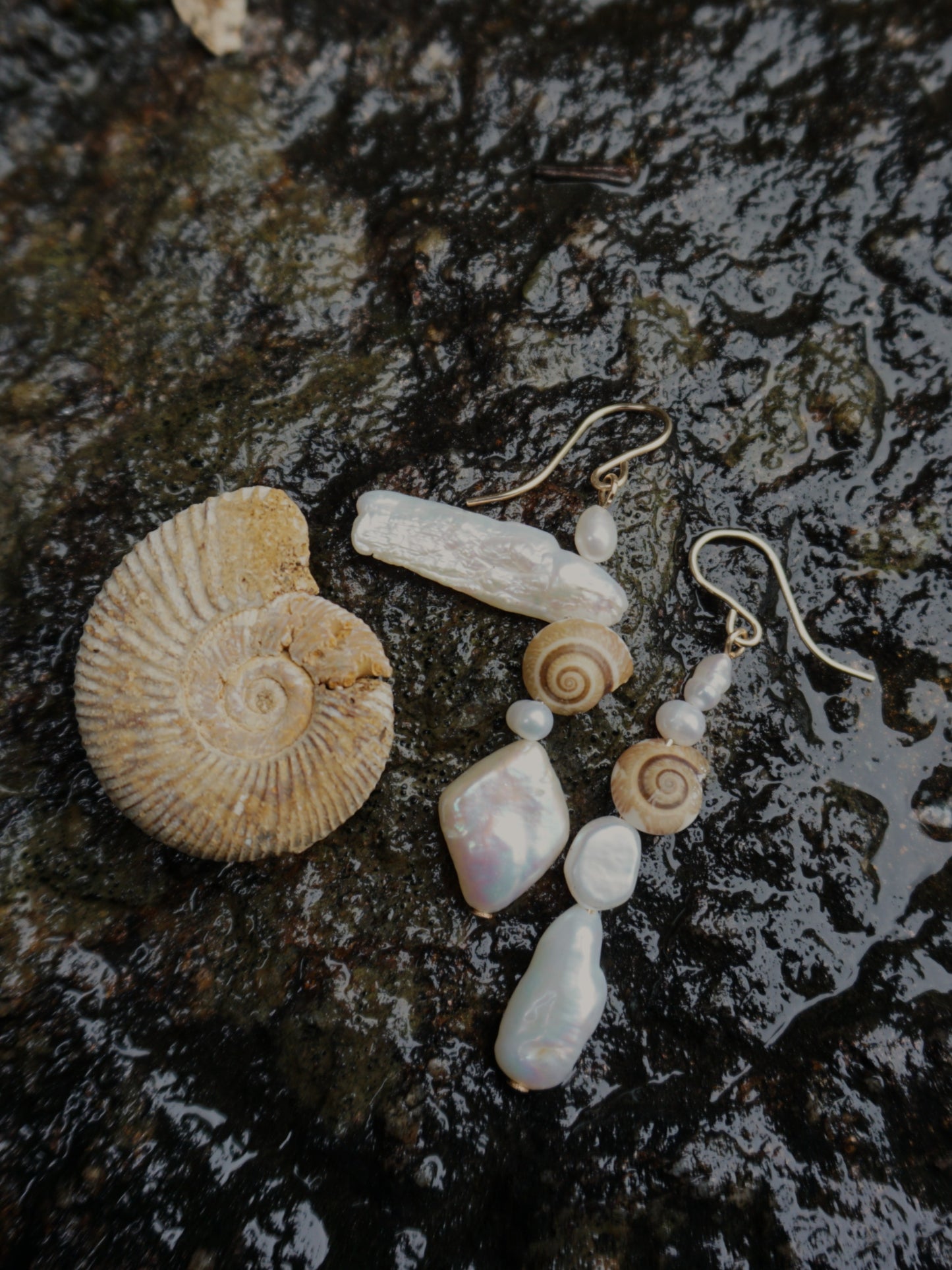 AMMONITE EARRINGS