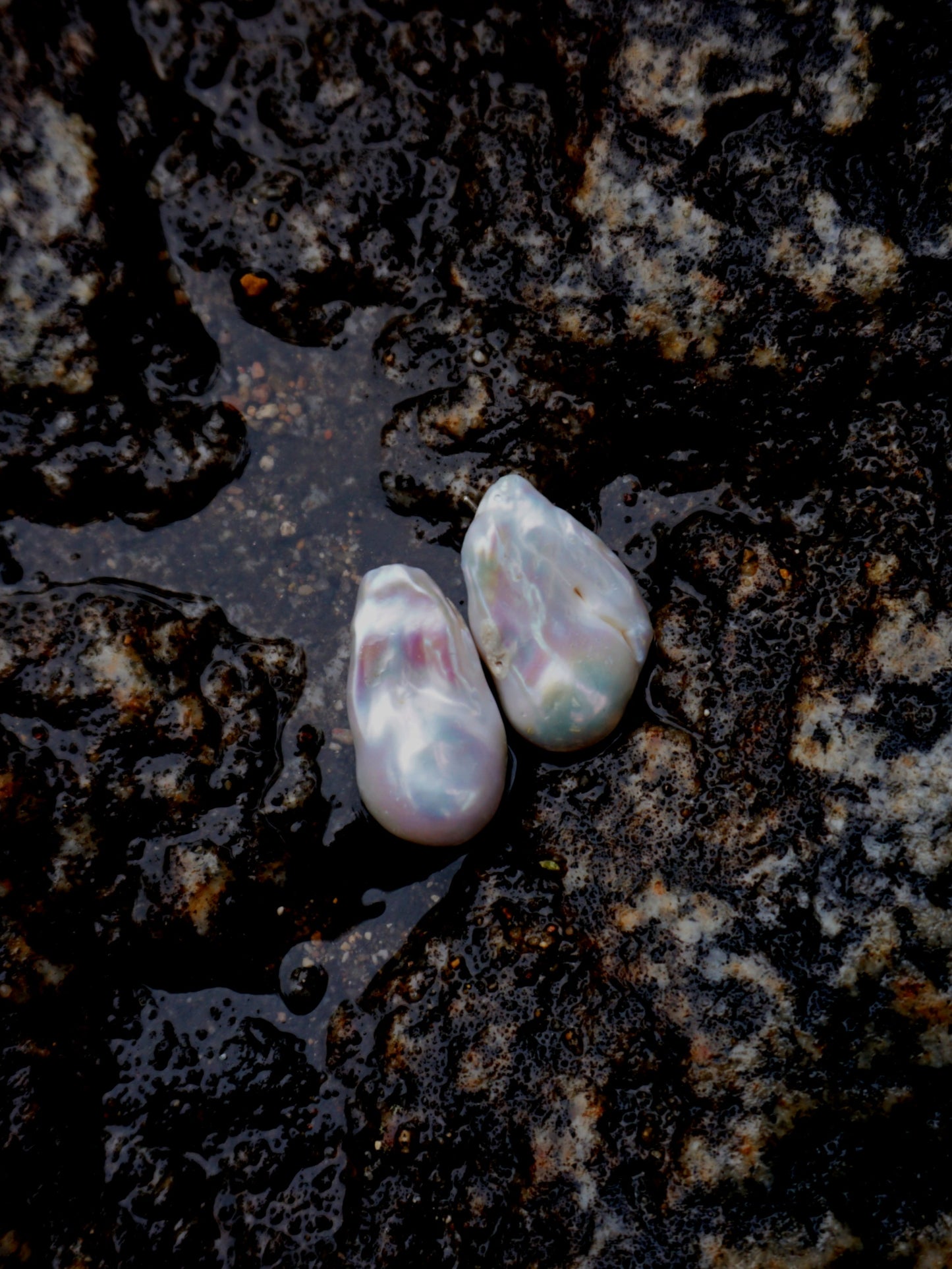 REBIRTH STUDS