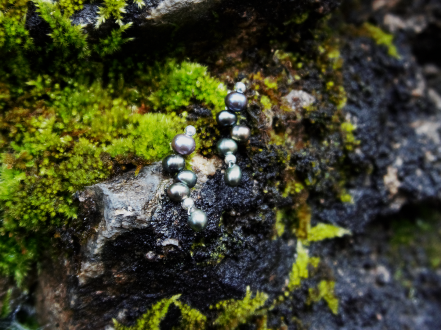 BLACK CORAL EARRINGS