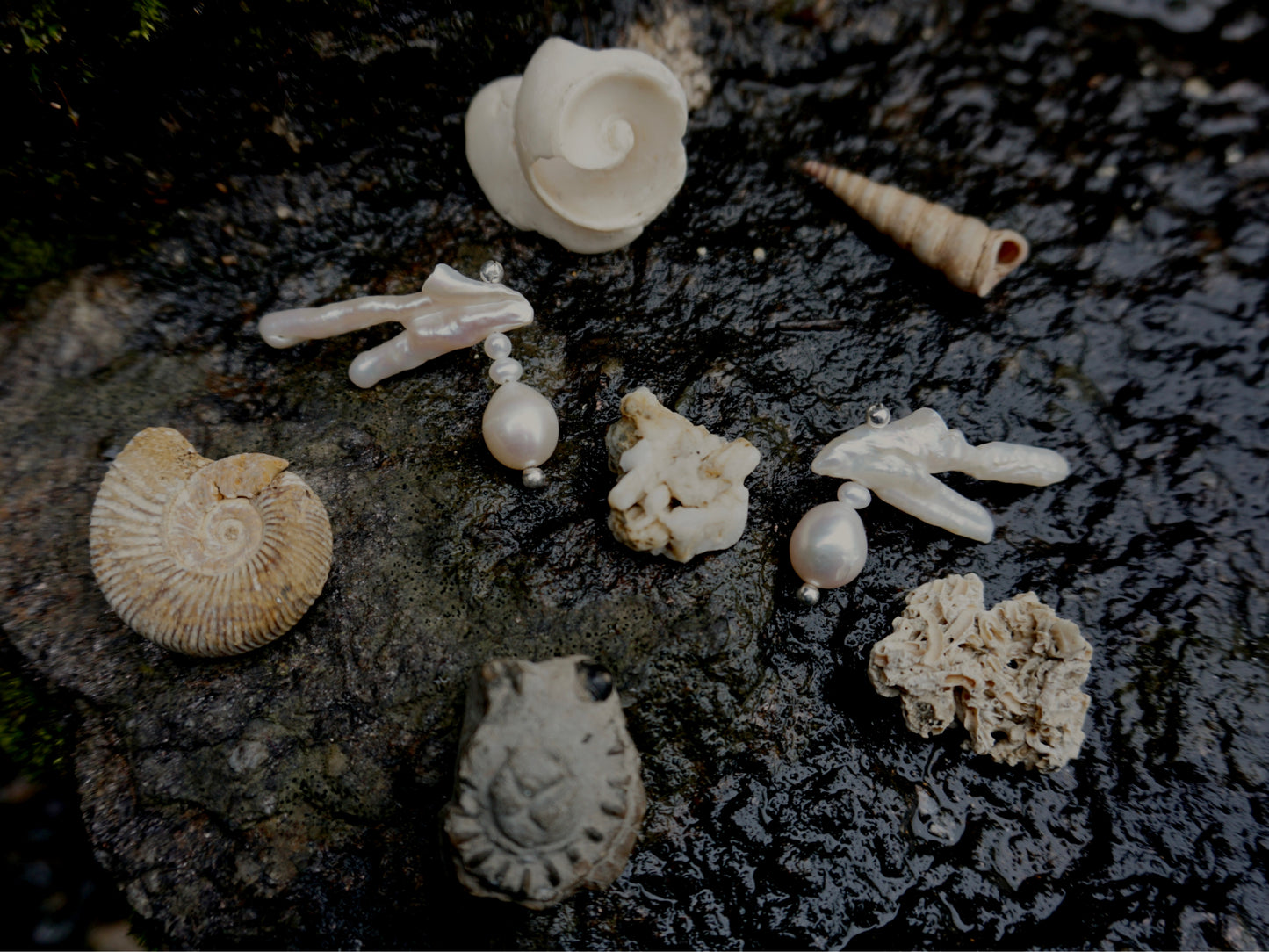 FOSSILISED EARRINGS