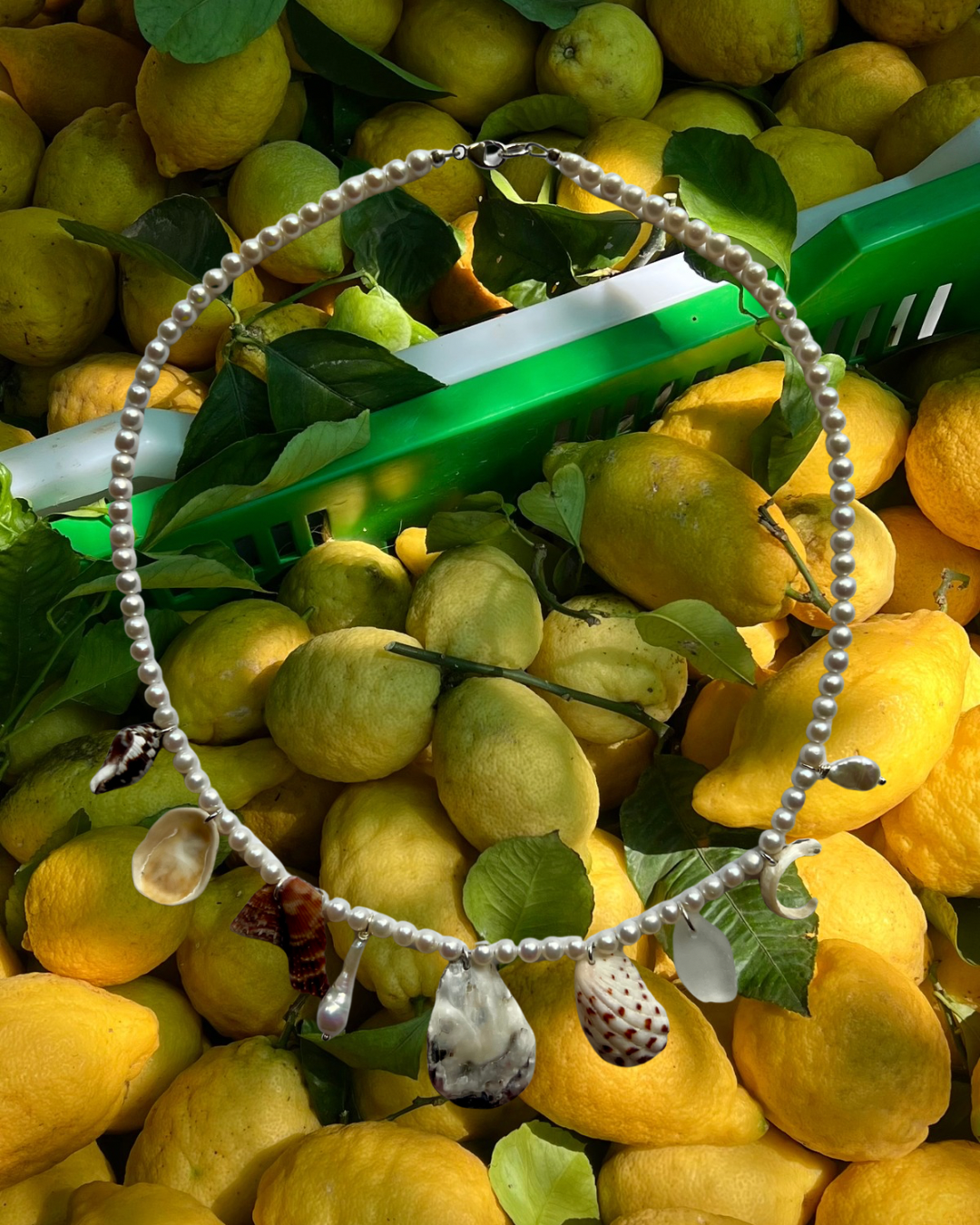 SOUVENIR CHARM NECKLACE