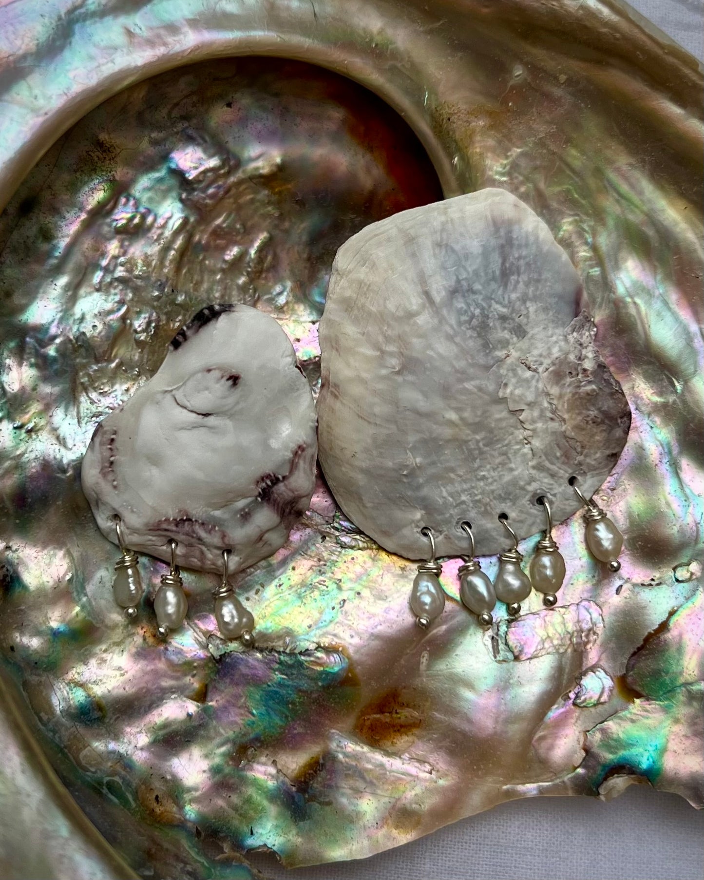 SHELL EARRINGS