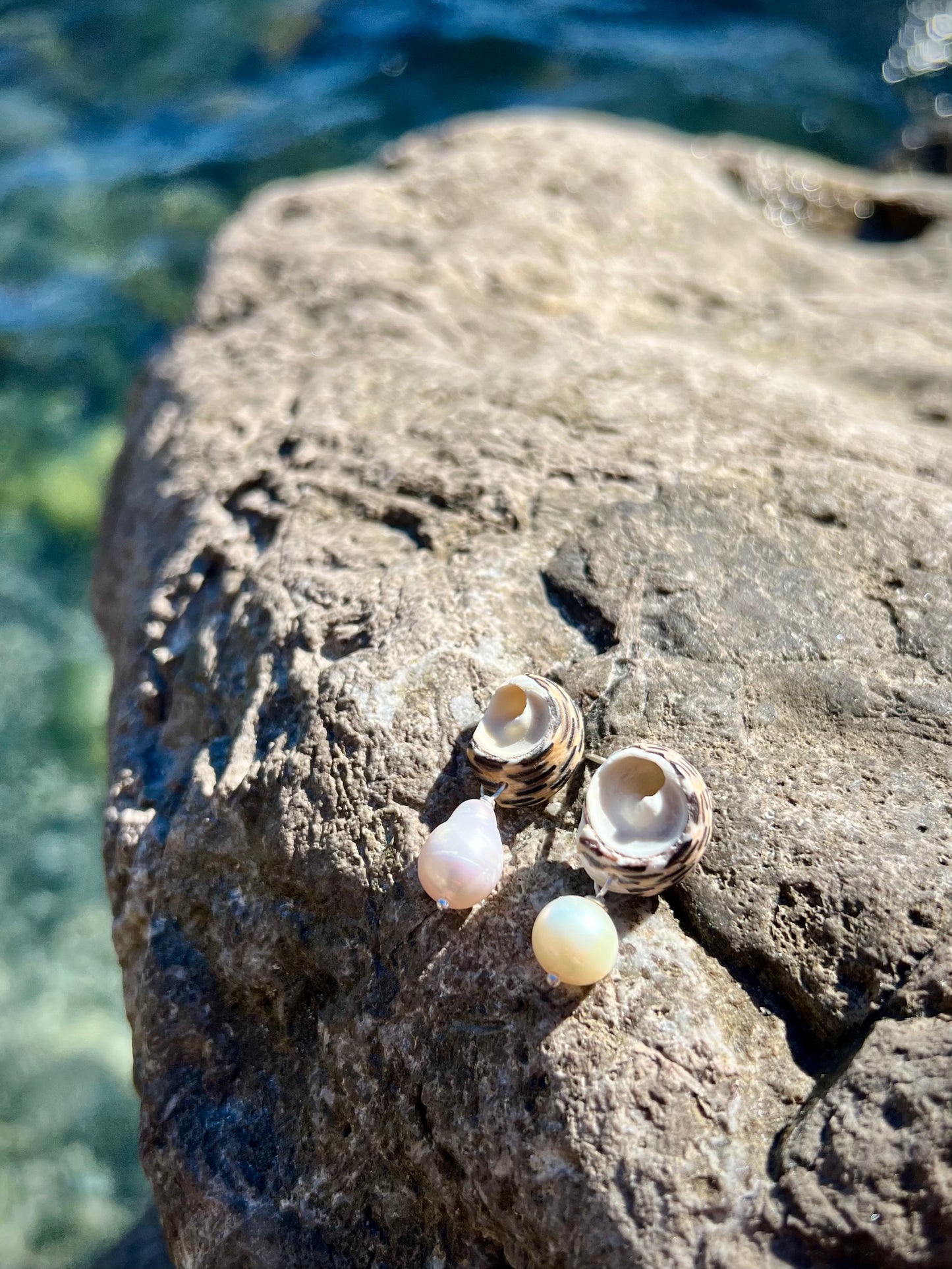 SHELL EARRINGS