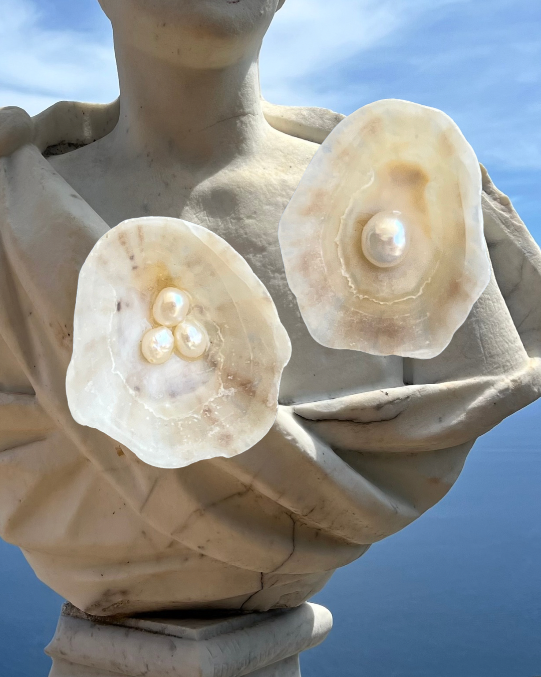 SHELL EARRINGS